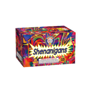 Shenanigans 21