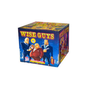 Wise Guy
