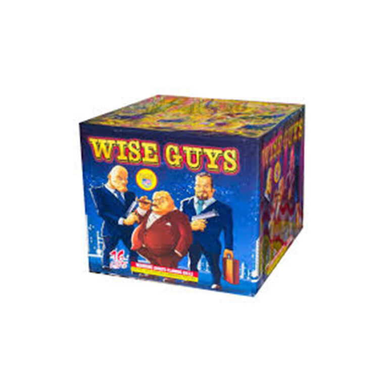 Wise Guy