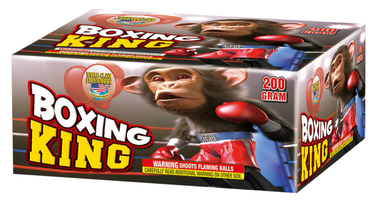 Boxing King
