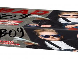 Bad Boy