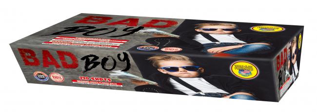 Bad Boy