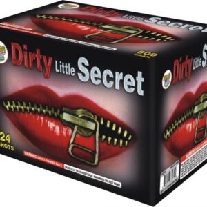 Dirty Little Secret